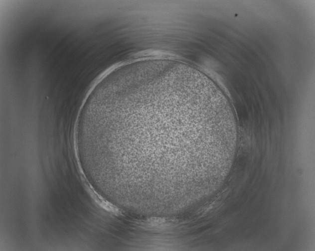 X0000082711098200702161809