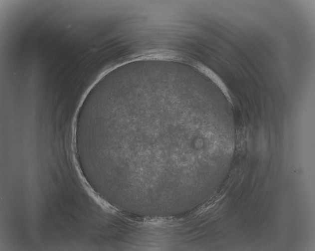 X0000082711099200702161809