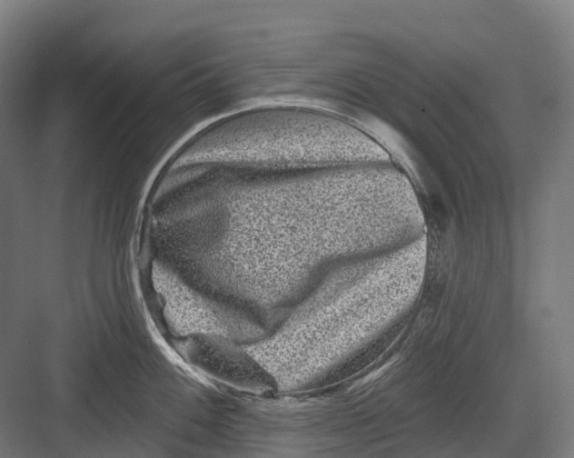 X0000082711100200702161809