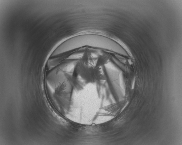 X0000082711102200702161809