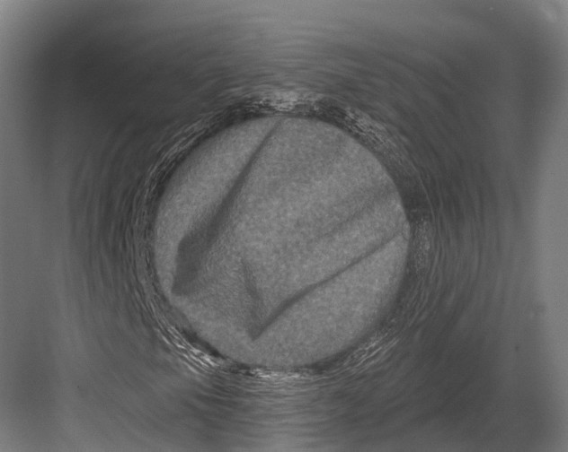 X0000082711105200702161808