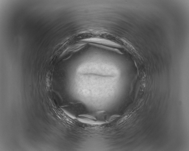 X0000082711110200702161808