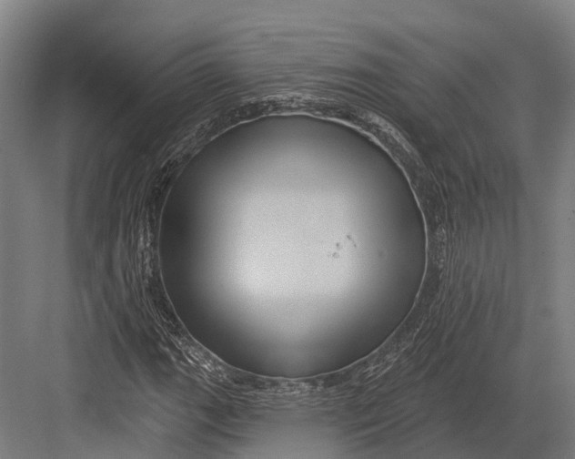 X0000082711111200702161808