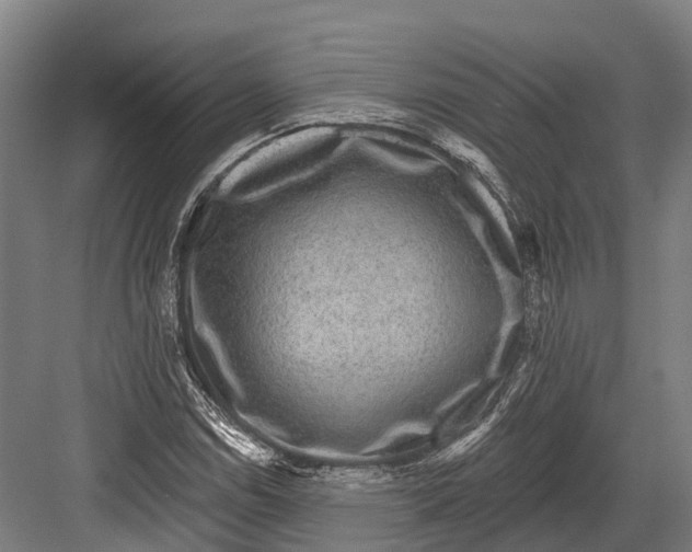 X0000082711114200702161808