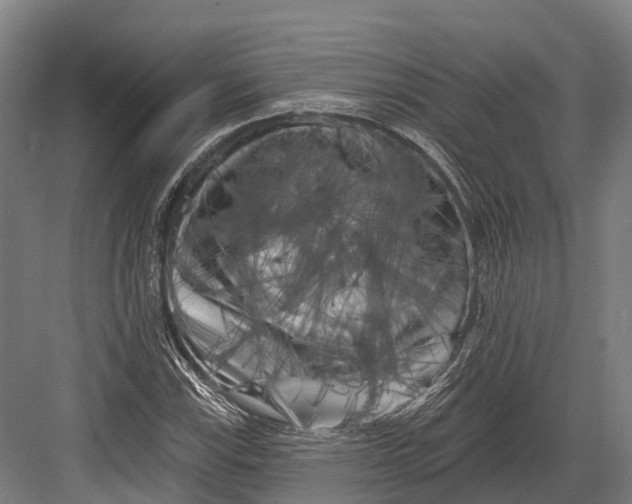 X0000082711115200702161808