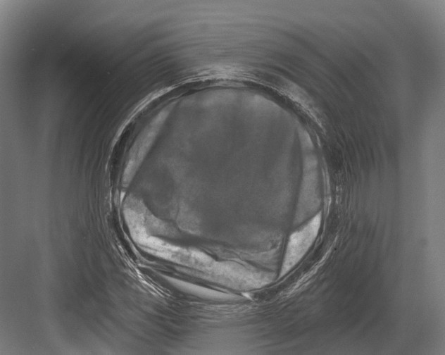 X0000082711117200702161808