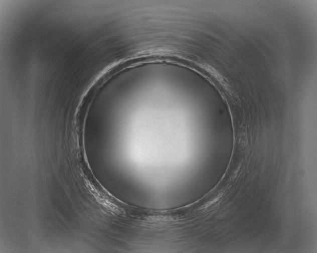 X0000082711118200702161808