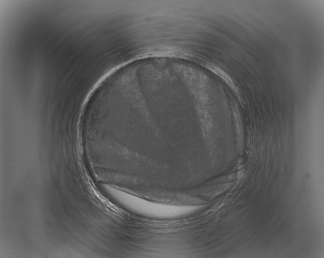 X0000082711120200702161808