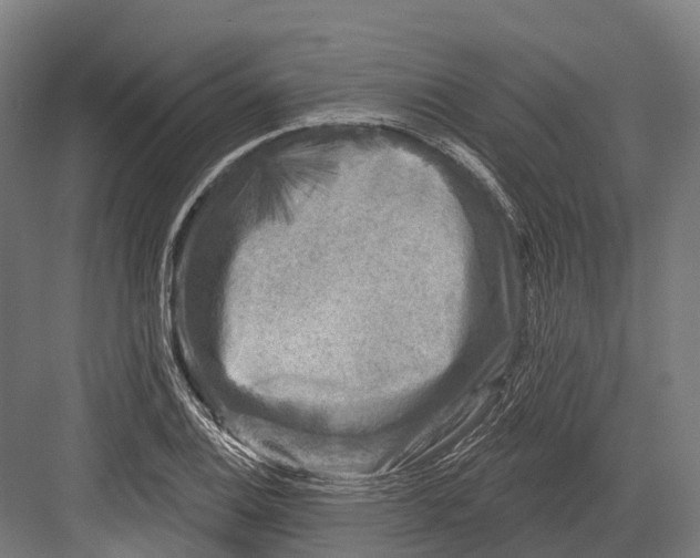 X0000082711124200702161808