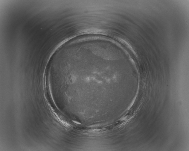 X0000082711125200702161808