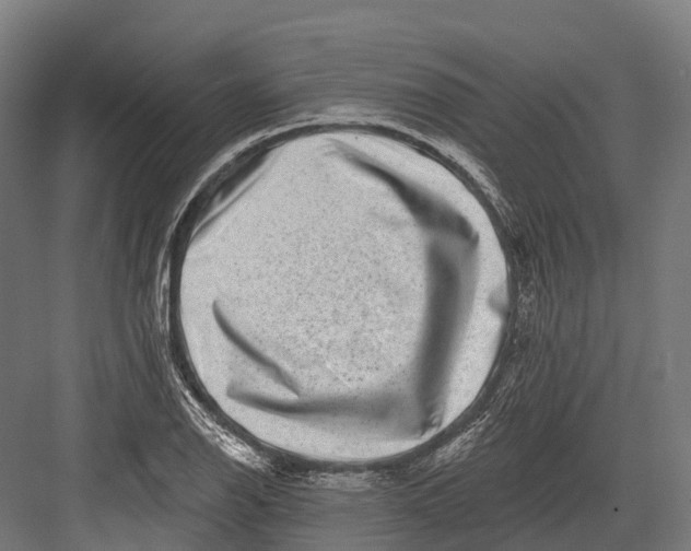 X0000082711126200702161808