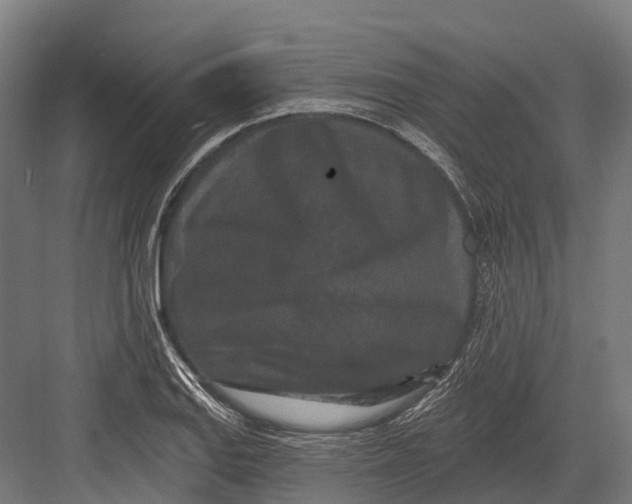 X0000082711127200702161808