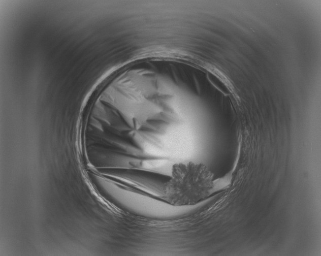 X0000082711128200702161809