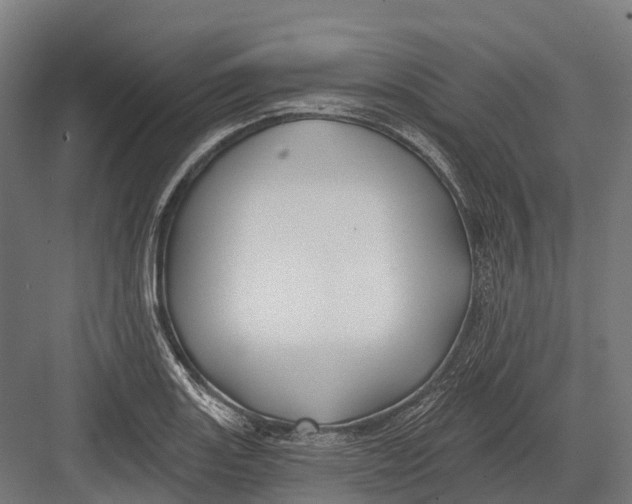 X0000082711131200702161809