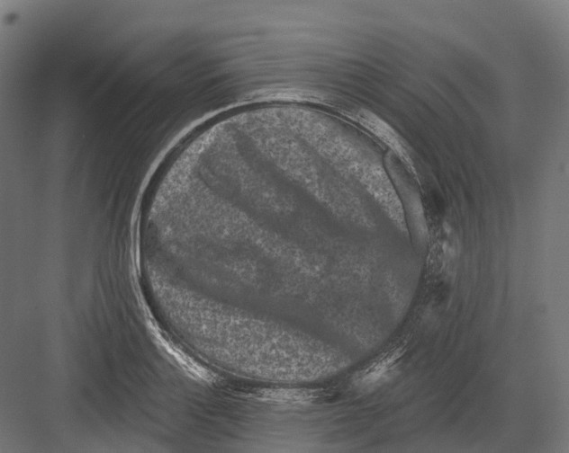 X0000082711132200702161809