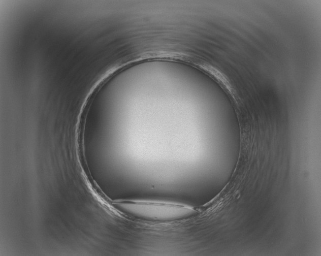 X0000082711135200702161809