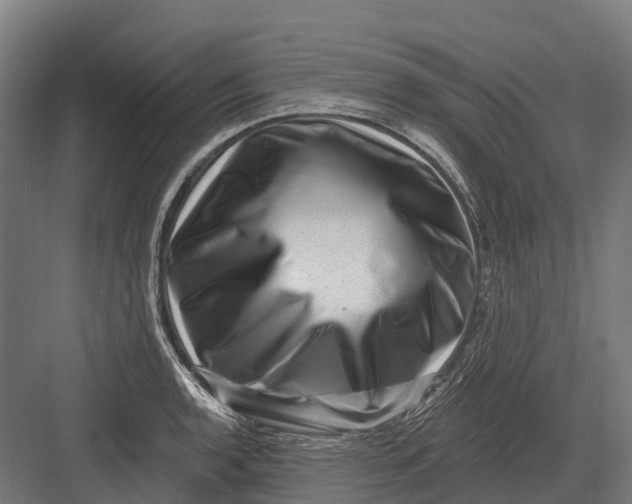 X0000082711136200702161809