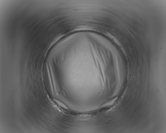 X0000082711137200702161809