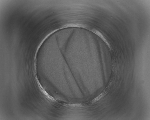 X0000082711140200702161809