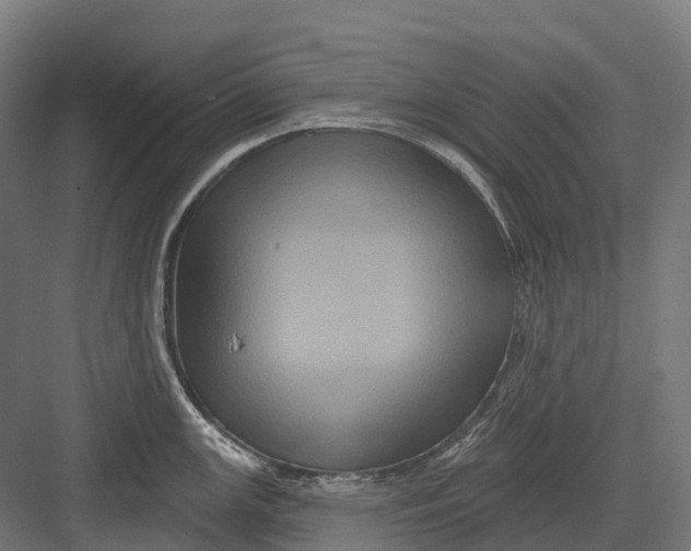 X0000082711147200702161809