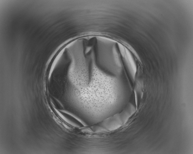 X0000082711148200702161809