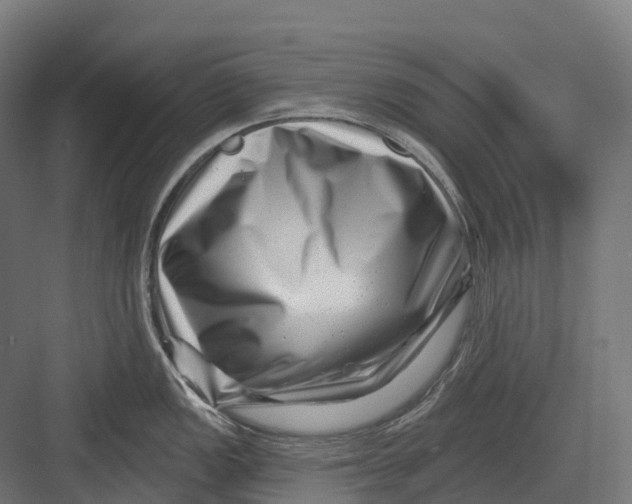 X0000082711149200702161809