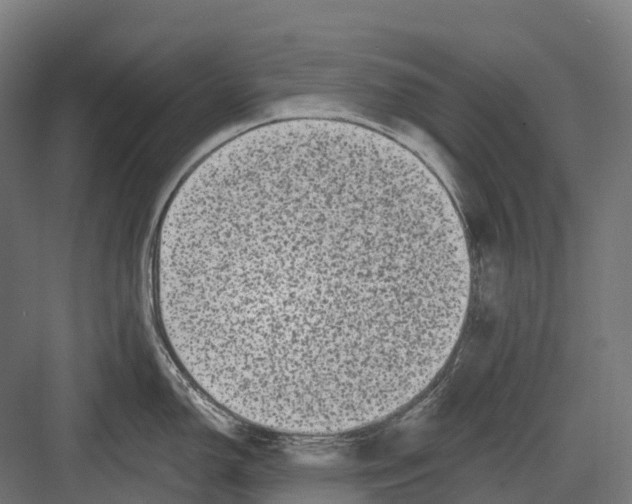 X0000082711150200702161809