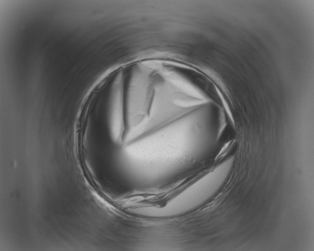 X0000082711151200702161809