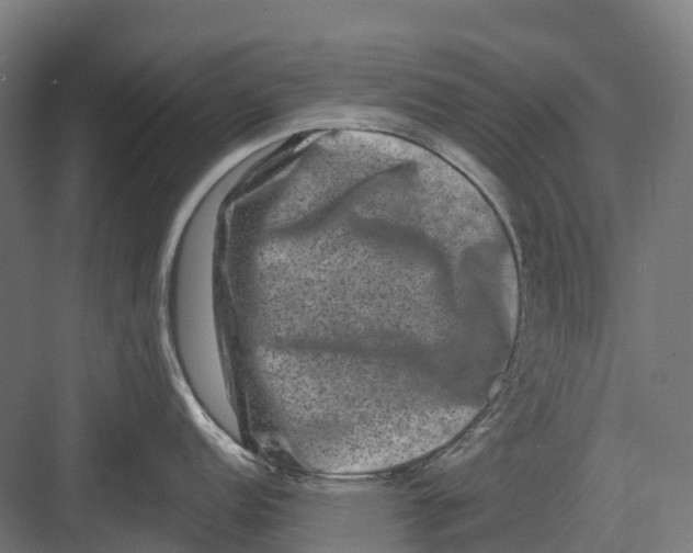 X0000082711152200702161809