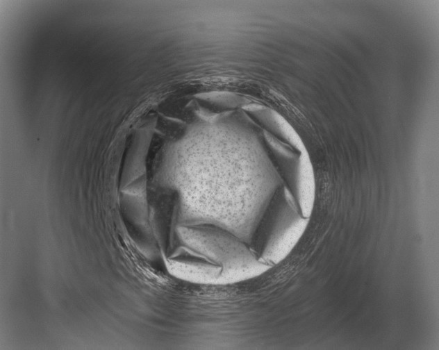 X0000082711153200702161808