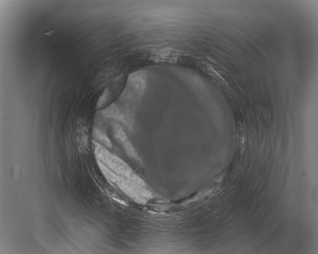 X0000082711154200702161808