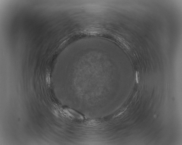 X0000082711155200702161808