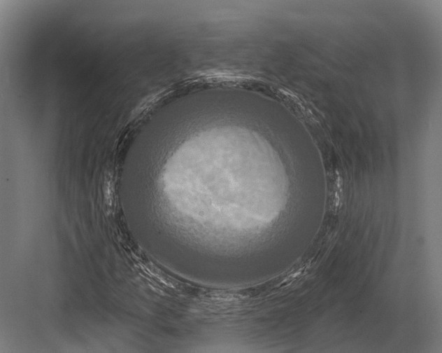 X0000082711157200702161808