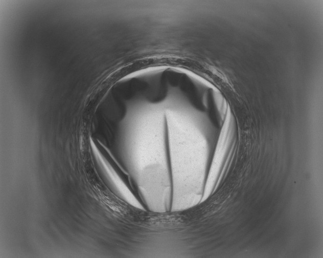 X0000082711159200702161808