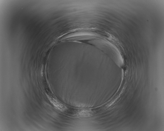 X0000082711161200702161808