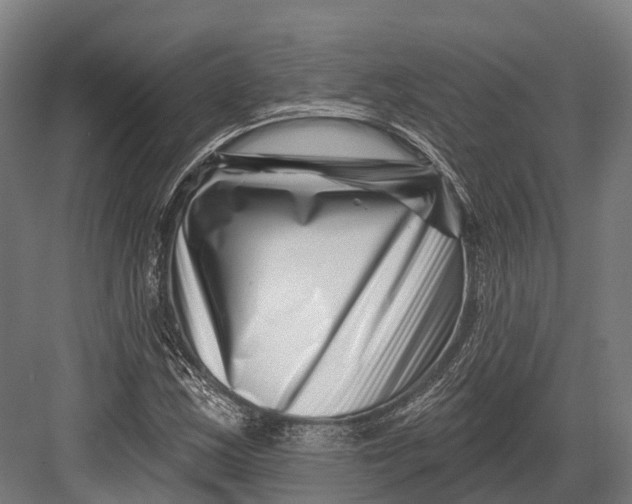 X0000082711163200702161808