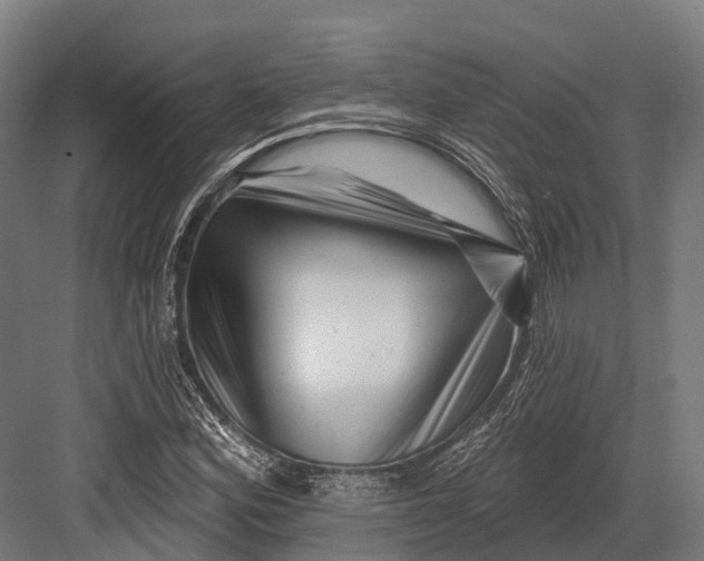 X0000082711164200702161808