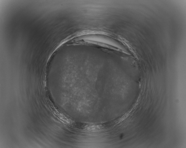 X0000082711165200702161808