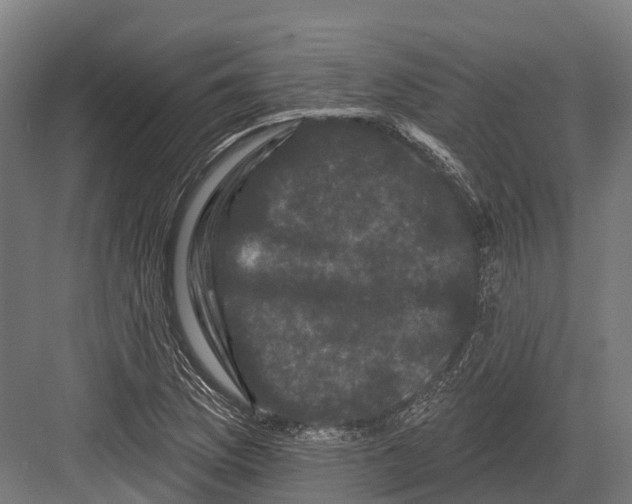 X0000082711169200702161808