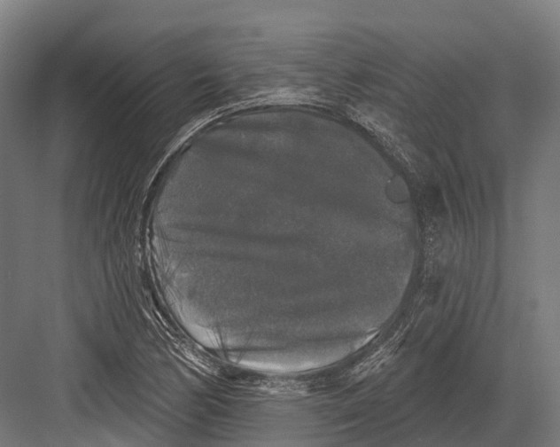 X0000082711170200702161808