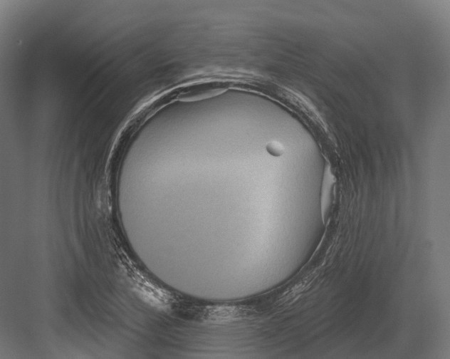 X0000082711172200702161808