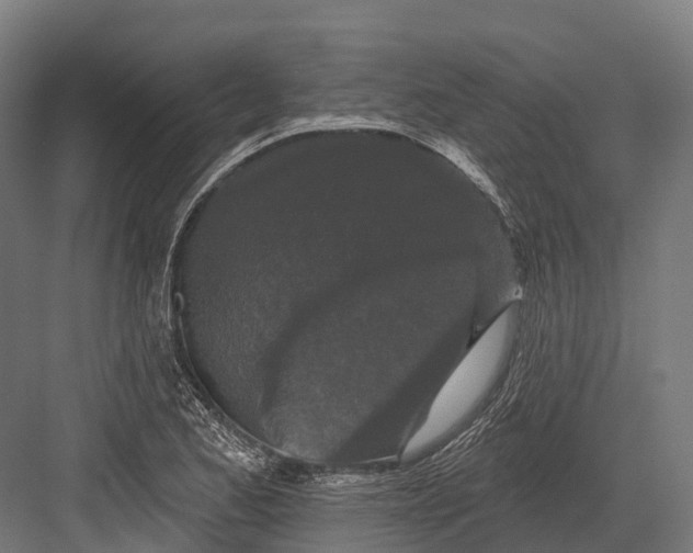 X0000082711173200702161808