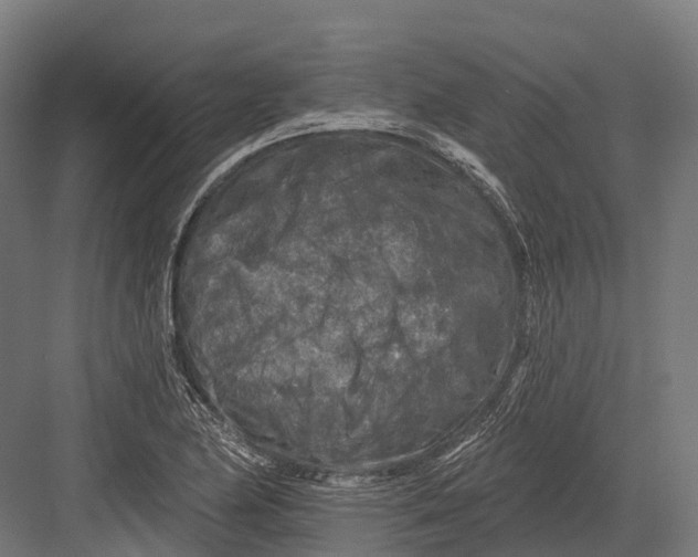 X0000082711174200702161808