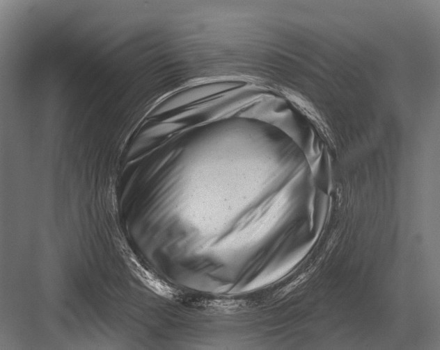 X0000082711177200702161808