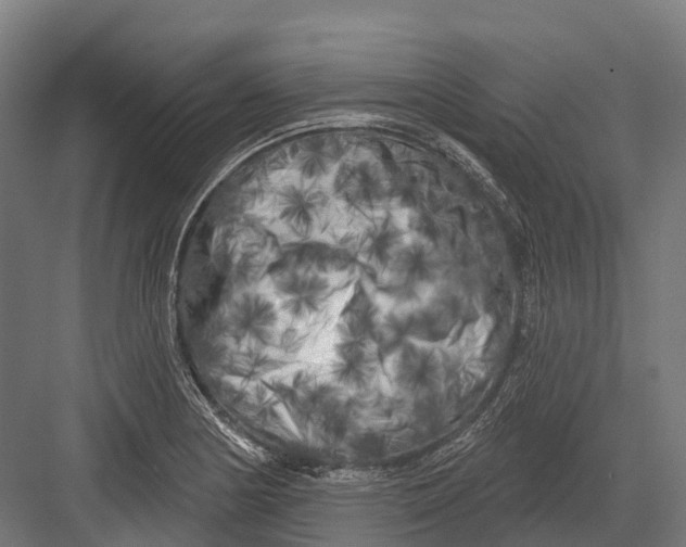 X0000082711178200702161808