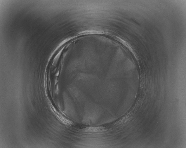 X0000082711179200702161808