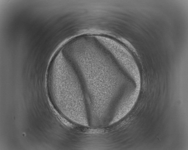 X0000082711183200702161808