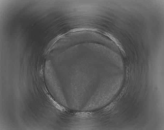 X0000082711185200702161808