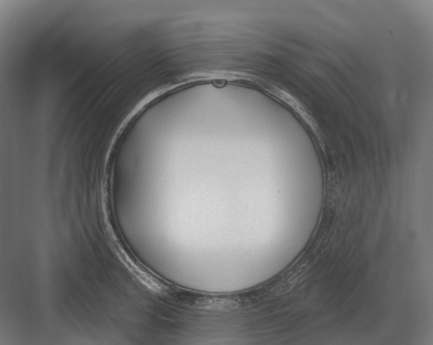 X0000082711187200702161808