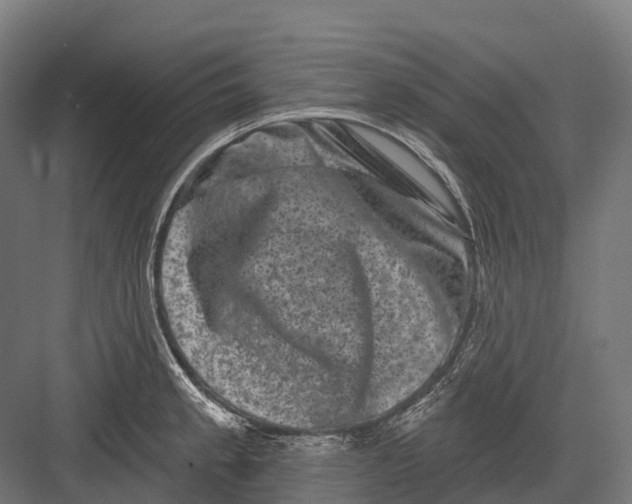 X0000082711189200702161808